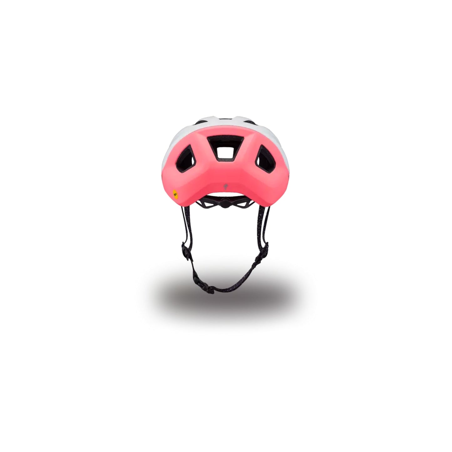 Casco Specialized Search